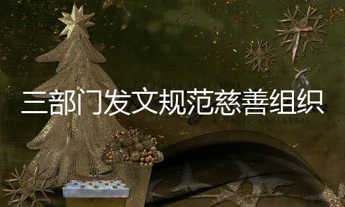 本支织募捐成门发出文规范慈三部善组
